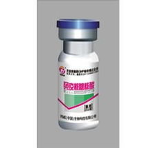 免疫核糖核酸在獸藥與飼料領(lǐng)域的應用 35941網(wǎng)一站式產(chǎn)品指南